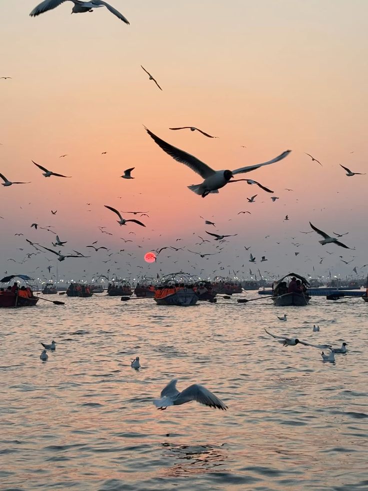 Ayodhya to Prayagraj & Sangam Sightseeing